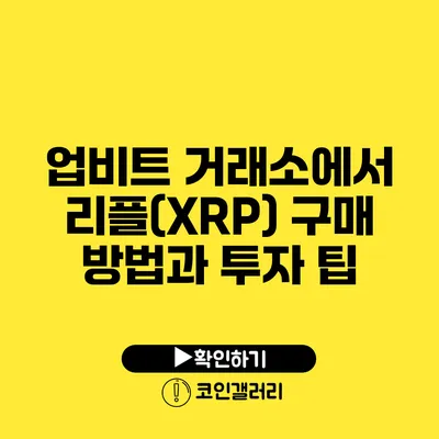 업비트 거래소에서 리플(XRP) 구매 방법과 투자 팁