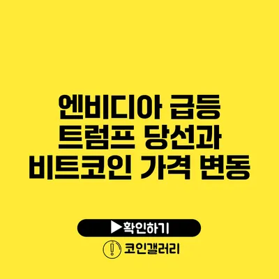 엔비디아 급등: 트럼프 당선과 비트코인 가격 변동