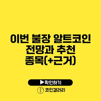 이번 불장 알트코인 전망과 추천 종목(+근거)