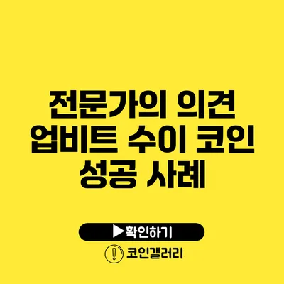 전문가의 의견: 업비트 수이 코인 성공 사례