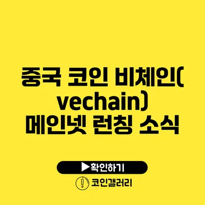 중국 코인 비체인(vechain) 메인넷 런칭 소식