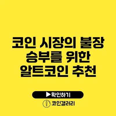 코인 시장의 불장 승부를 위한 알트코인 추천