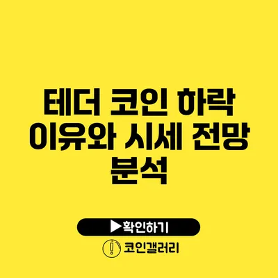 테더 코인 하락 이유와 시세 전망 분석