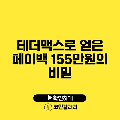 테더맥스로 얻은 페이백 155만원의 비밀