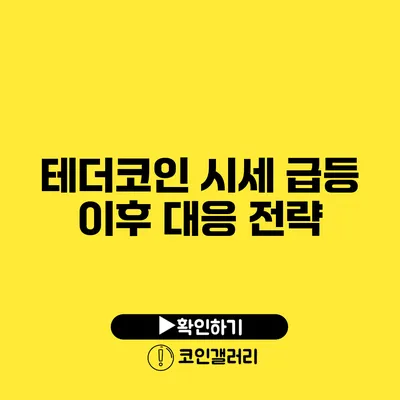 테더코인: 시세 급등 이후 대응 전략