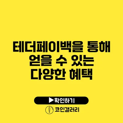 테더페이백을 통해 얻을 수 있는 다양한 혜택