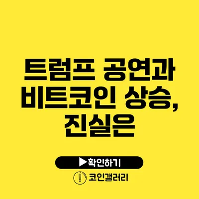 트럼프 공연과 비트코인 상승, 진실은?