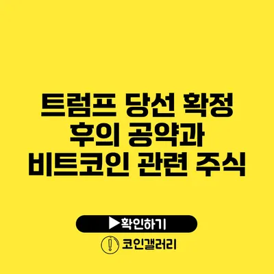 트럼프 당선 확정 후의 공약과 비트코인 관련 주식