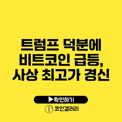 트럼프 덕분에 비트코인 급등, 사상 최고가 경신