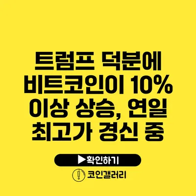 트럼프 덕분에 비트코인이 10% 이상 상승, 연일 최고가 경신 중