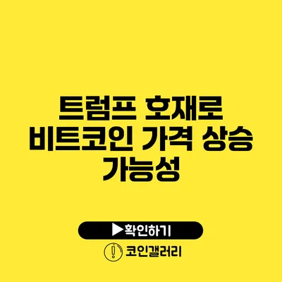 트럼프 호재로 비트코인 가격 상승 가능성