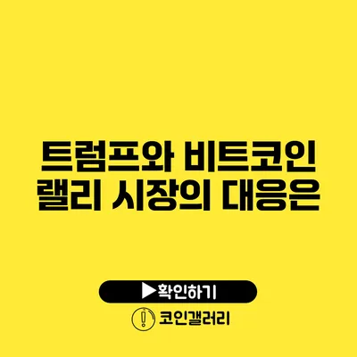 트럼프와 비트코인 랠리: 시장의 대응은?