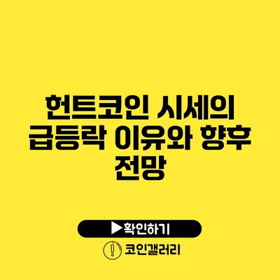 헌트코인 시세의 급등락 이유와 향후 전망