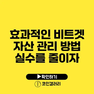 효과적인 비트겟 자산 관리 방법: 실수를 줄이자