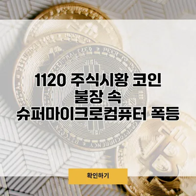 11/20 주식시황 코인 불장 속 슈퍼마이크로컴퓨터 폭등