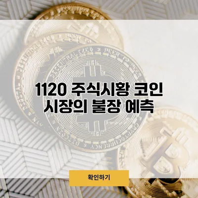 11/20 주식시황 코인 시장의 불장 예측