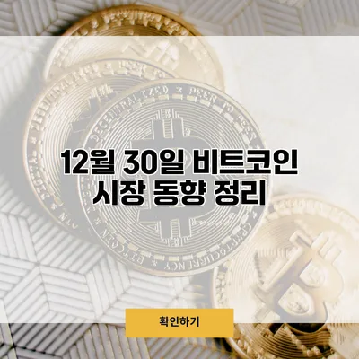 12월 30일 비트코인 시장 동향 정리