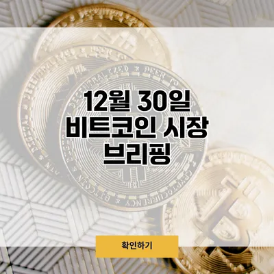 12월 30일 비트코인 시장 브리핑