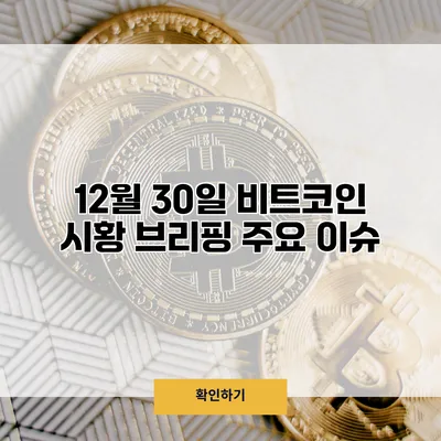 12월 30일 비트코인 시황 브리핑 주요 이슈
