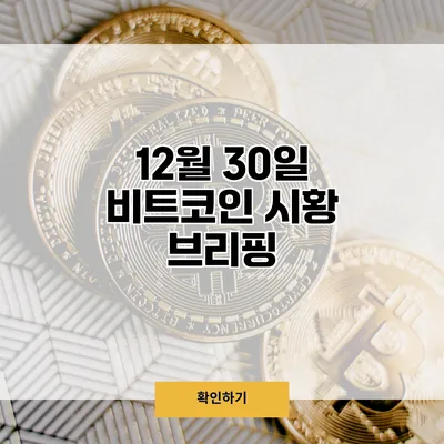 12월 30일 비트코인 시황 브리핑