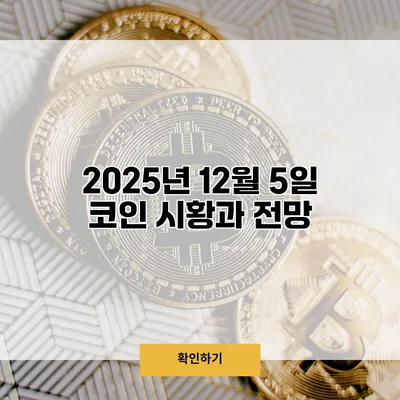 2025년 12월 5일 코인 시황과 전망
