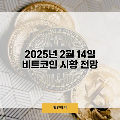 2025년 2월 14일 비트코인 시황 전망