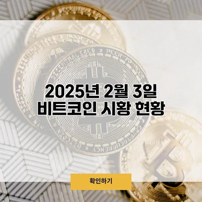 2025년 2월 3일 비트코인 시황 현황
