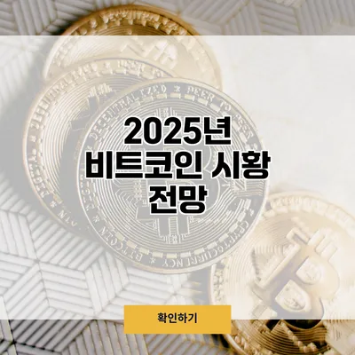 2025년 비트코인 시황 전망