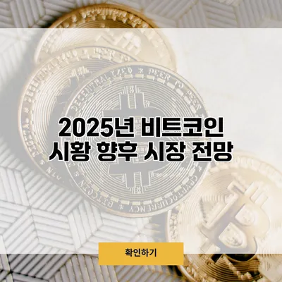 2025년 비트코인 시황 향후 시장 전망
