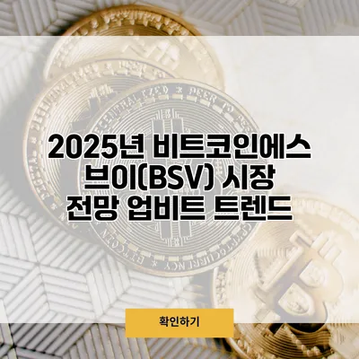 2025년 비트코인에스브이(BSV) 시장 전망 업비트 트렌드