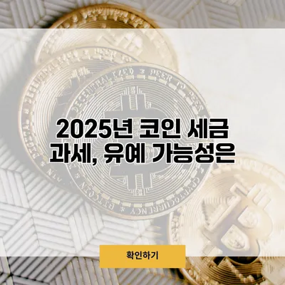 2025년 코인 세금 과세, 유예 가능성은?