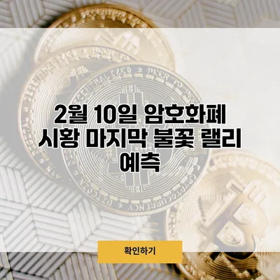 2월 10일 암호화폐 시황 마지막 불꽃 랠리 예측