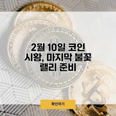 2월 10일 코인 시황, 마지막 불꽃 랠리 준비