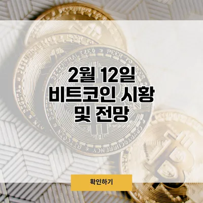 2월 12일 비트코인 시황 및 전망