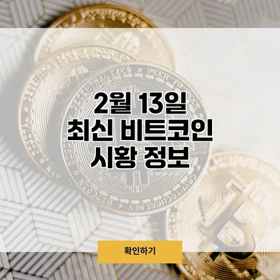 2월 13일 최신 비트코인 시황 정보