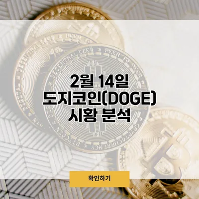 2월 14일 도지코인(DOGE) 시황 분석