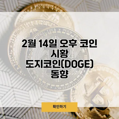 2월 14일 오후 코인 시황 도지코인(DOGE) 동향