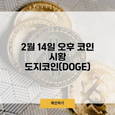 2월 14일 오후 코인 시황 도지코인(DOGE)