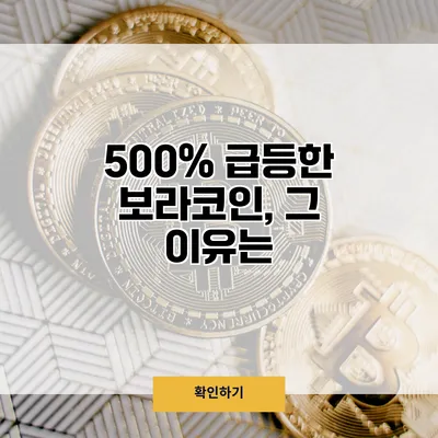 500% 급등한 보라코인, 그 이유는?