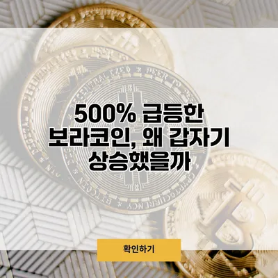 500% 급등한 보라코인, 왜 갑자기 상승했을까?