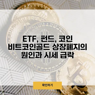 ETF, 펀드, 코인 비트코인골드 상장폐지의 원인과 시세 급락