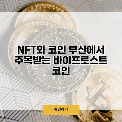 NFT와 코인 부산에서 주목받는 바이프로스트 코인
