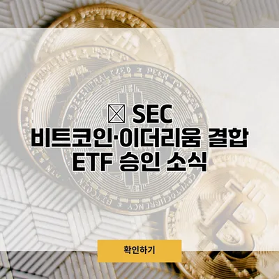 美 SEC 비트코인·이더리움 결합 ETF 승인 소식