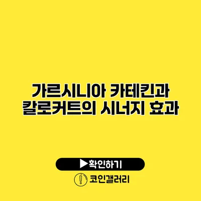 가르시니아 카테킨과 칼로커트의 시너지 효과