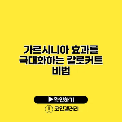가르시니아 효과를 극대화하는 칼로커트 비법