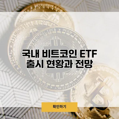 국내 비트코인 ETF 출시 현황과 전망