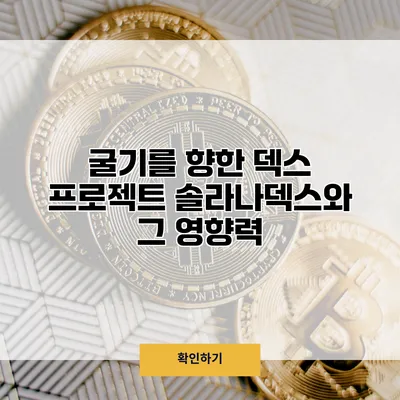 굴기를 향한 덱스 프로젝트 솔라나덱스와 그 영향력