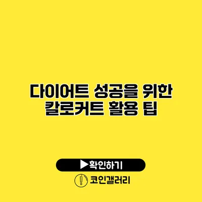 다이어트 성공을 위한 칼로커트 활용 팁