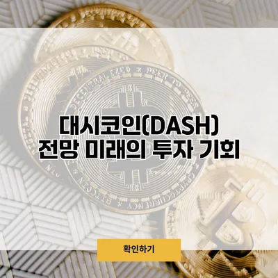 대시코인(DASH) 전망 미래의 투자 기회
