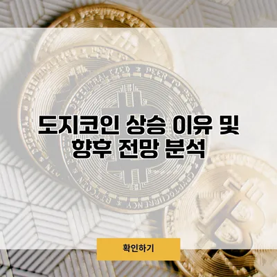 도지코인 상승 이유 및 향후 전망 분석